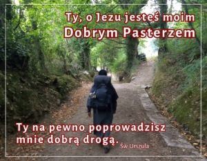 Rozmyślanie na IV niedzielę wielkanocną