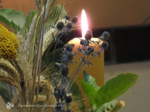 Uroczystości zakonne w Pniewach