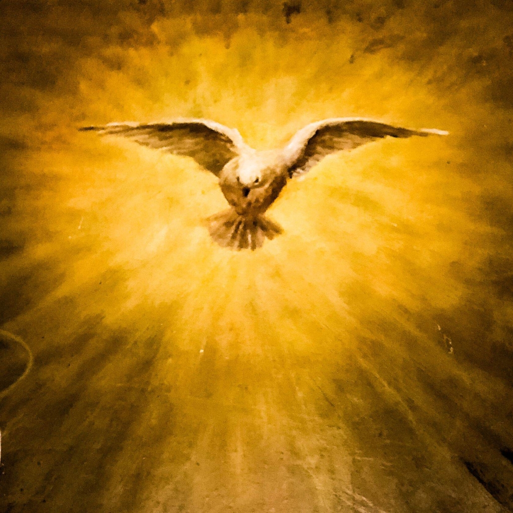 Rozmyślanie na poniedziałek XXII tygodnia zwykłego