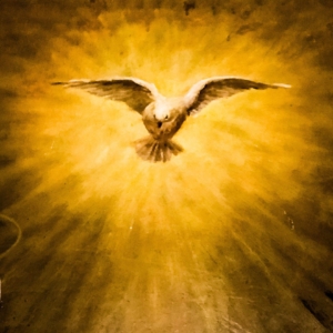 Rozmyślanie na poniedziałek XXII tygodnia zwykłego