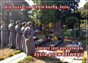 Rozmyślanie na niedzielę XXXI tygodnia zwykłego