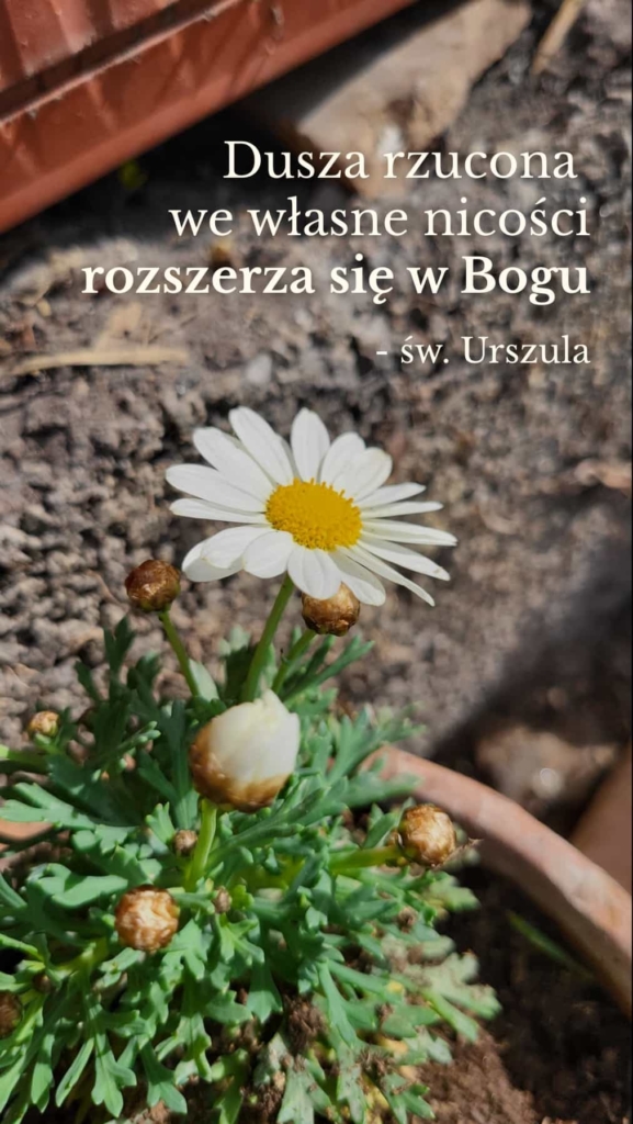 Rozmyślanie na IV niedzielę zwykłą