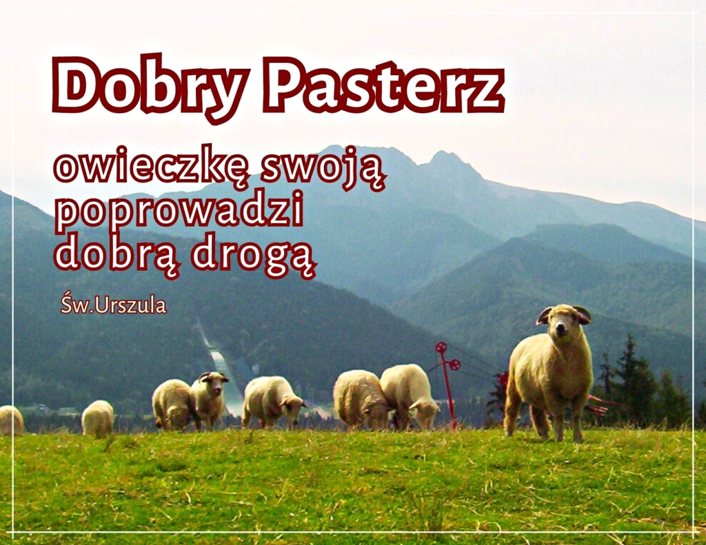 Rozmyślanie na niedzielę IV tygodnia Wielkanocnego