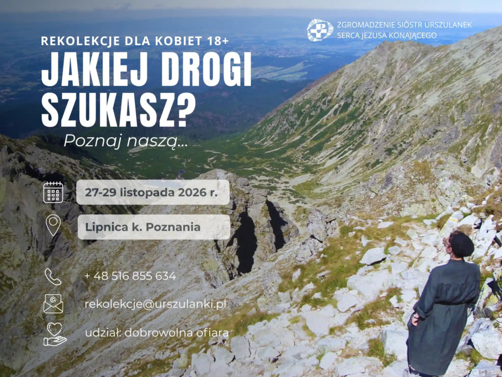 Jakiej drogi szukasz?